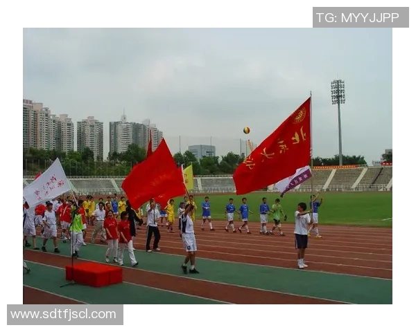 深圳极限运动队个人能力表现数据分析与提升策略探讨