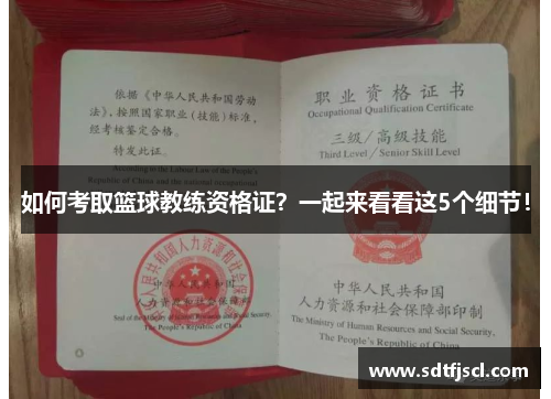 如何考取篮球教练资格证？一起来看看这5个细节！